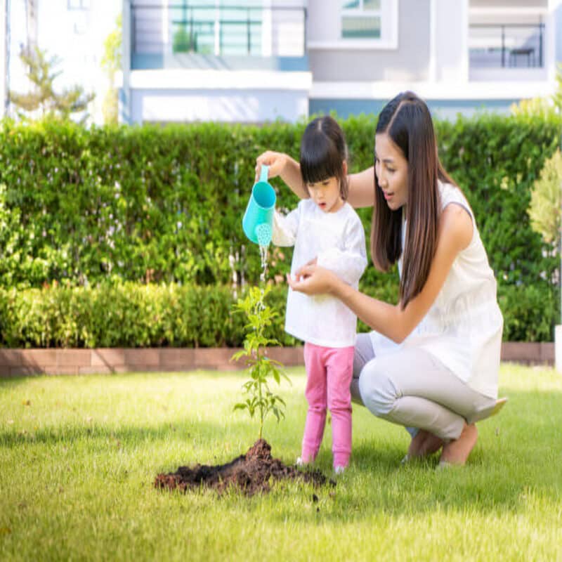 asian family mother kid daughter plant sapling tree watering outdoors nature spring reduce global warming growth feature take care nature earth 73503 1907 1 1