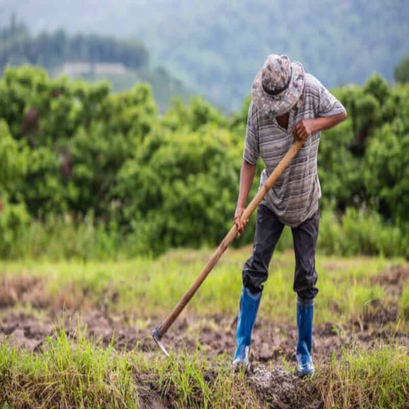 male farmer who is using shovel dig soil his rice fields 1150 17239 1 1 1
